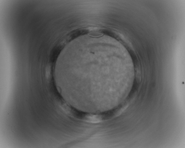 X0000115140221200911241512