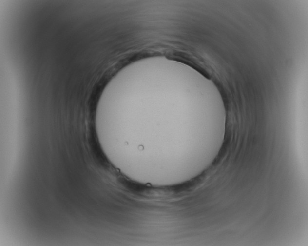 X0000115140223200911241512