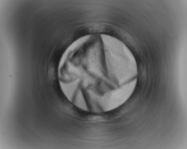 X0000115140224200911241512