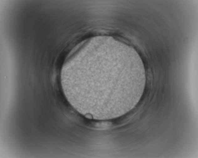 X0000115140225200911241512