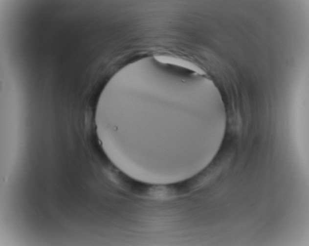 X0000115140231200911241512