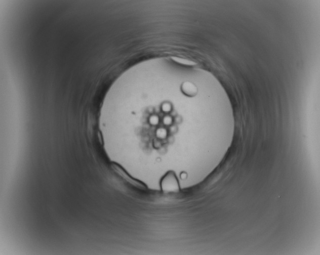 X0000115140235200911241512