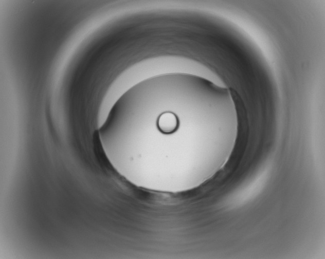 X0000115140239200911241512