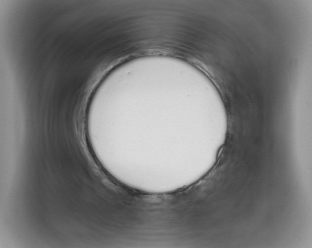 X0000115140241200911241511