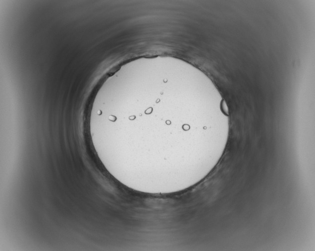 X0000115140242200911241511