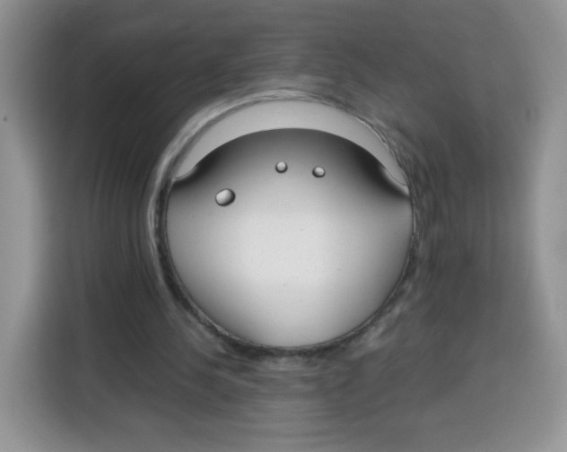 X0000115140244200911241511