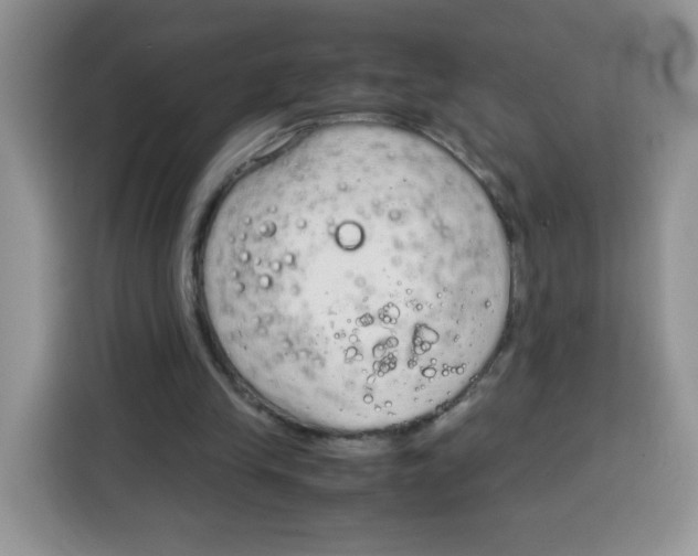 X0000115140245200911241511