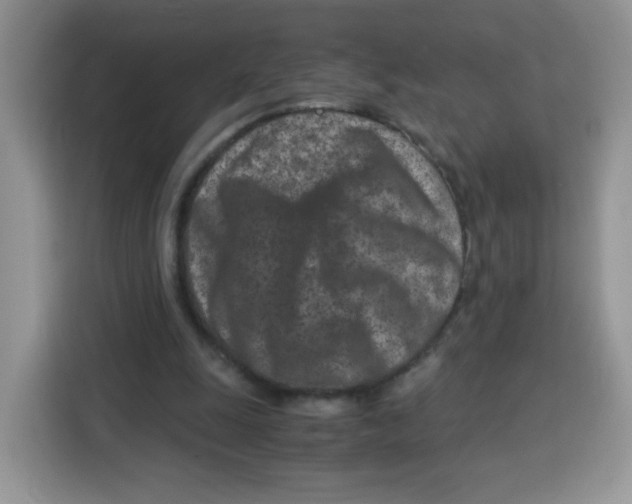 X0000115140247200911241511