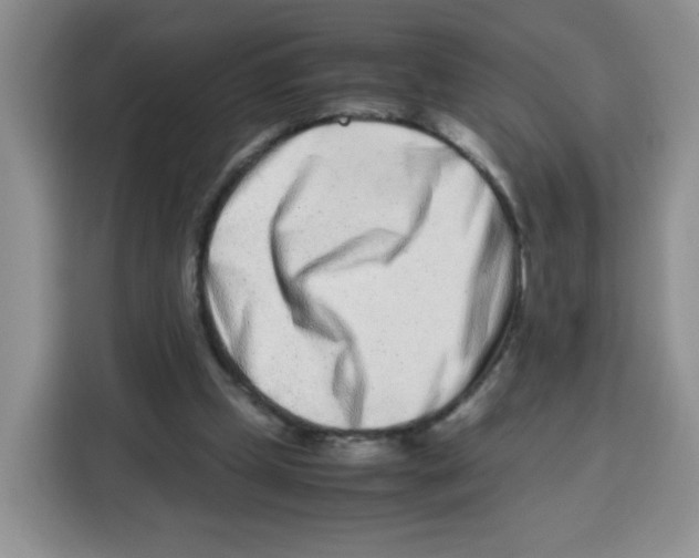 X0000115140249200911241511