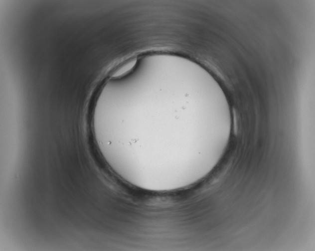 X0000115140252200911241511