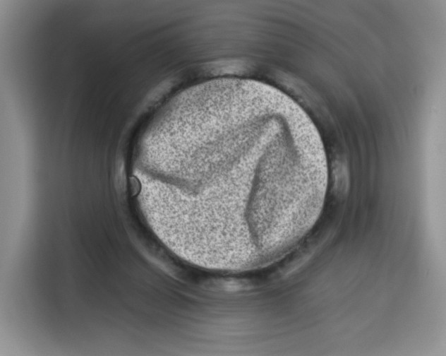 X0000115140254200911241511