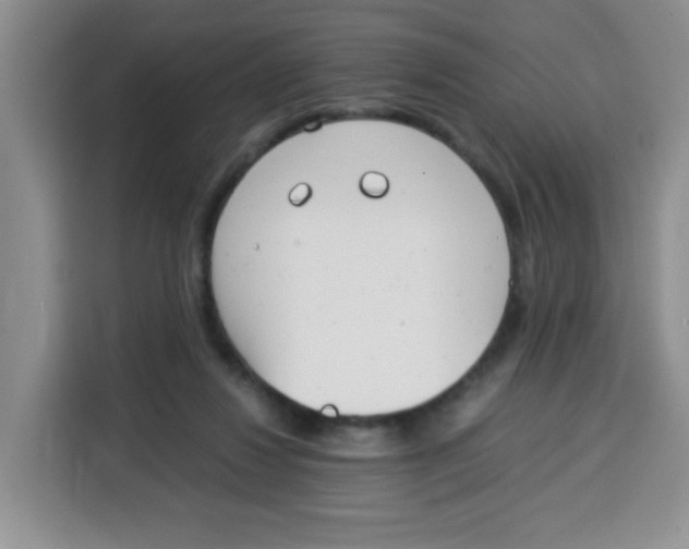 X0000115140260200911241511