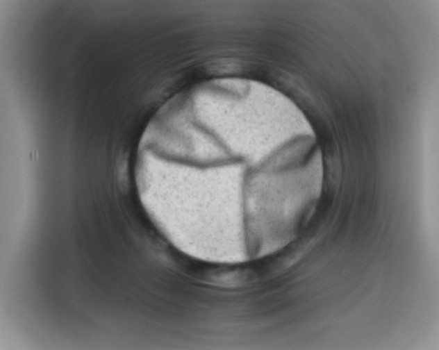 X0000115140267200911241512