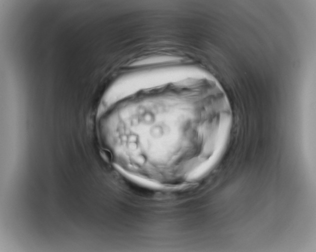 X0000115140271200911241512