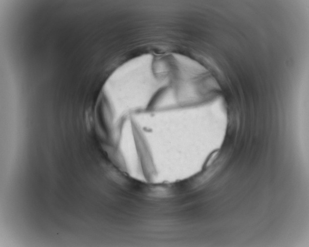 X0000115140285200911241512