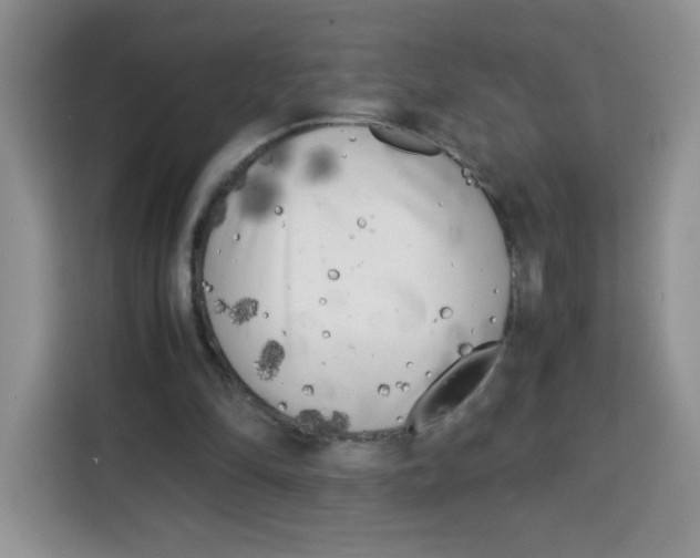 X0000115140294200911241511