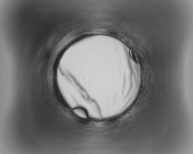 X0000115140295200911241511