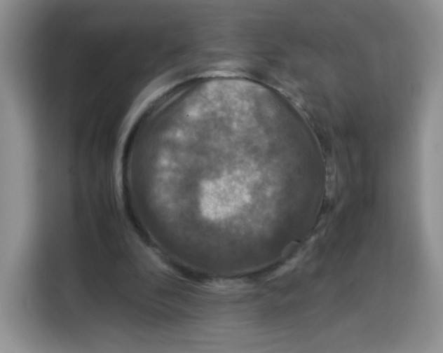 X0000115140296200911241511