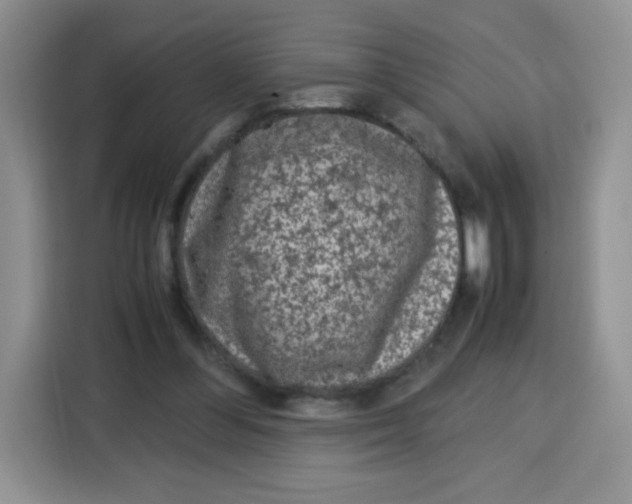 X0000115140300200911241511
