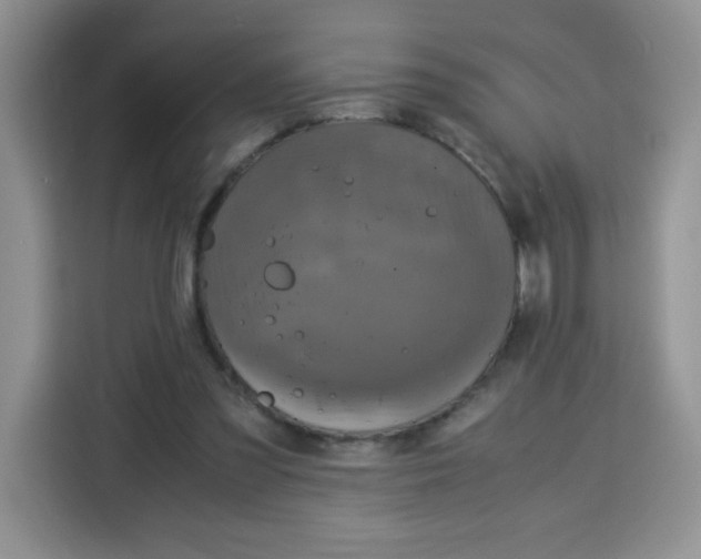 X0000115140301200911241511