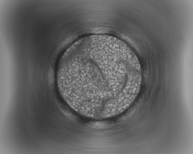 X0000115140303200911241511