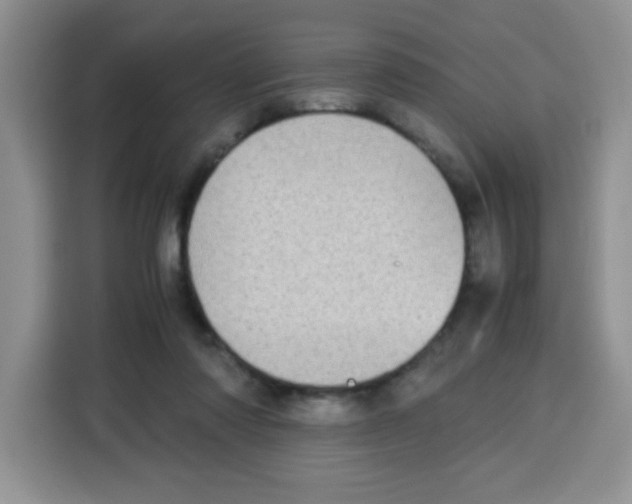X0000115140310200911241511