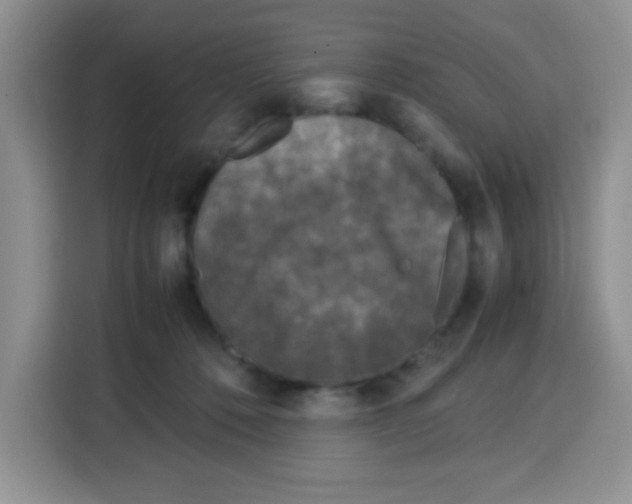 X0000115140320200911241511