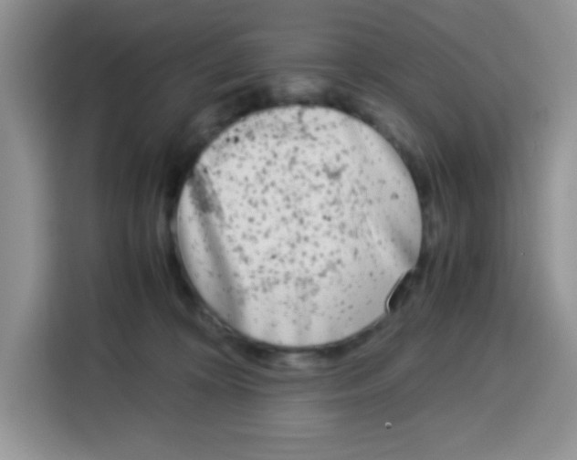 X0000115140324200911241511