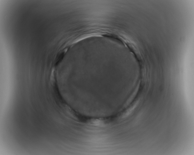 X0000115140325200911241511