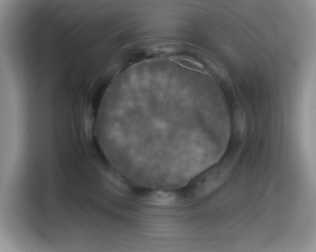 X0000115140328200911241511