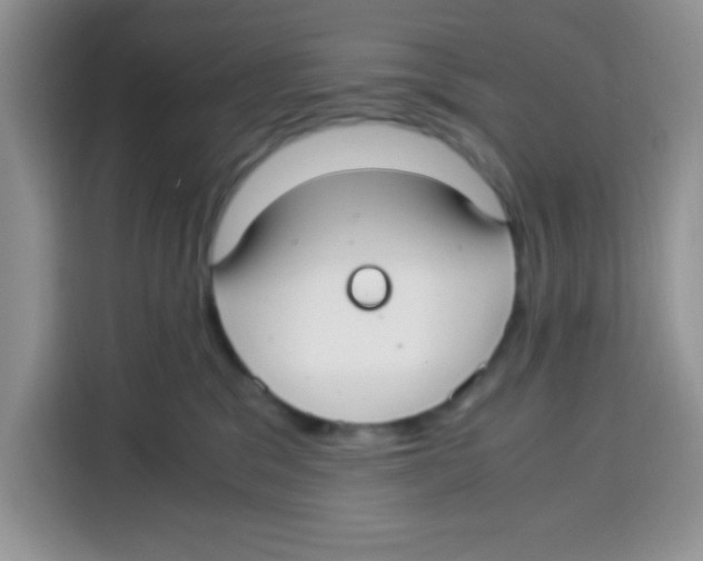X0000115140329200911241511
