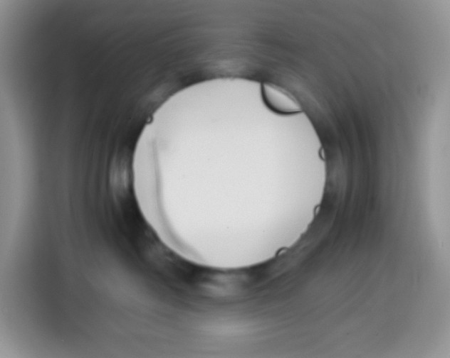 X0000115140334200911241511