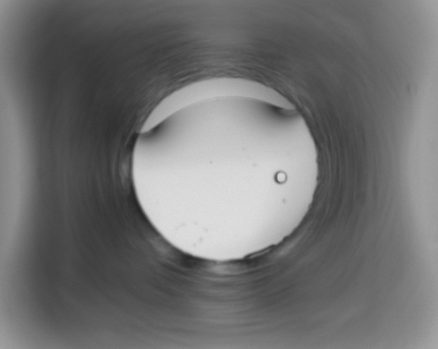 X0000115140336200911241511