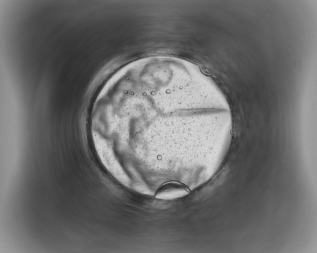 X0000115140341200911241510