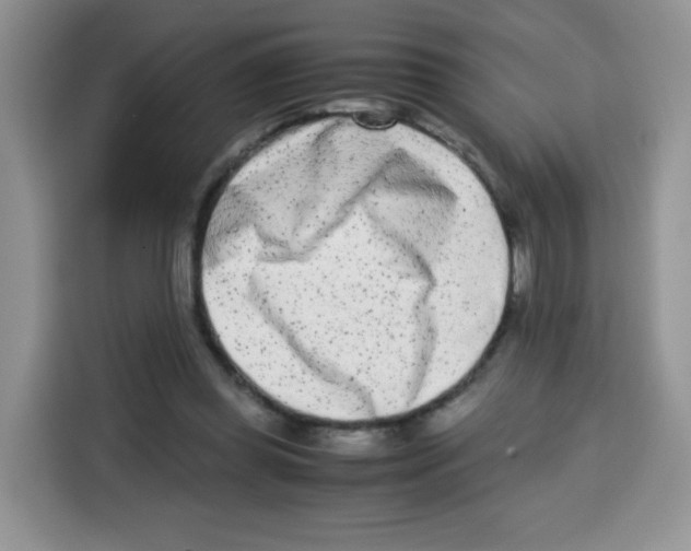 X0000115140349200911241510