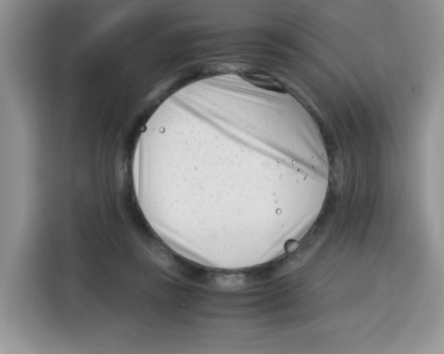 X0000115140355200911241510