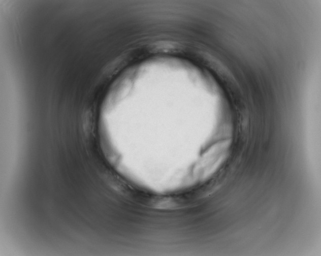 X0000115140361200911241510