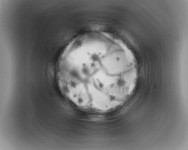 X0000115140363200911241510