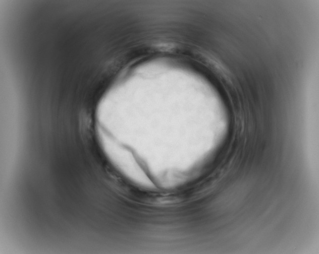 X0000115140365200911241510