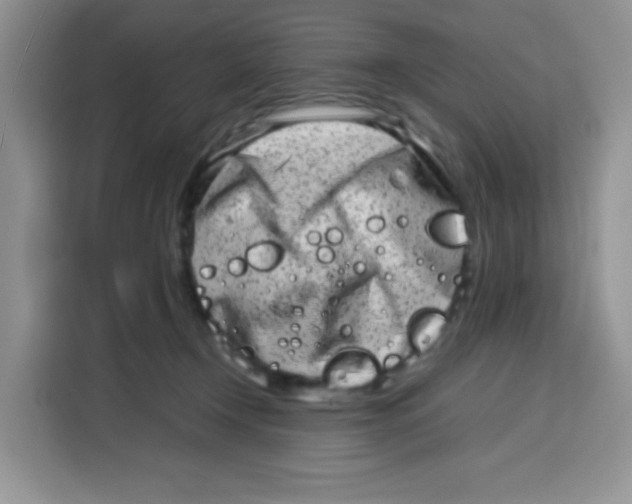 X0000115140366200911241510