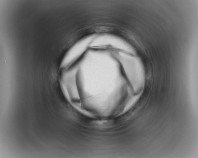 X0000115140367200911241510