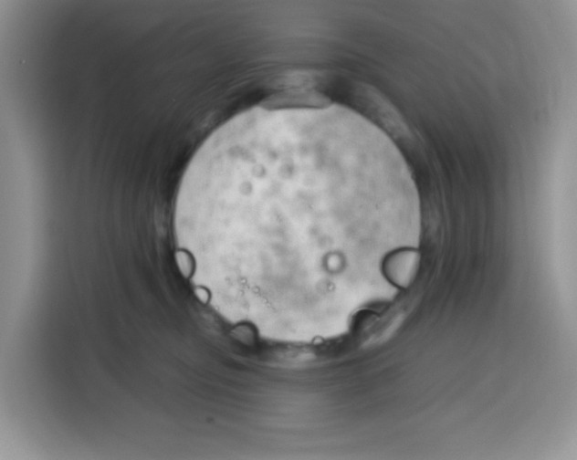X0000115140374200911241510