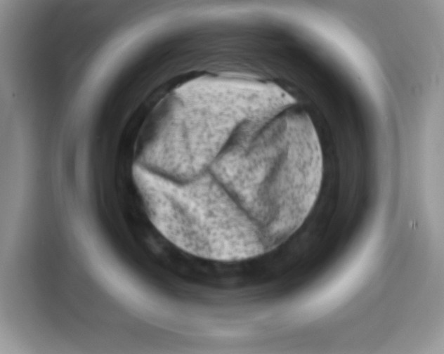 X0000115140382200911241511