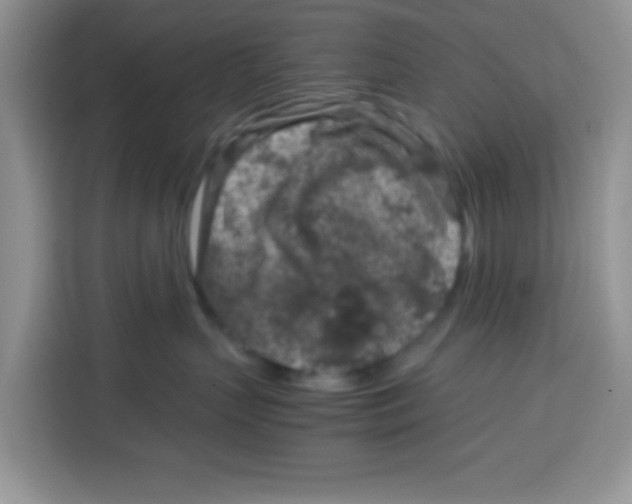 X0000115140383200911241511