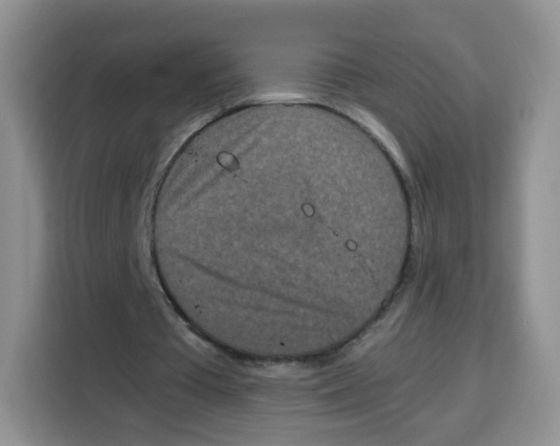 X0000115140385200911241510