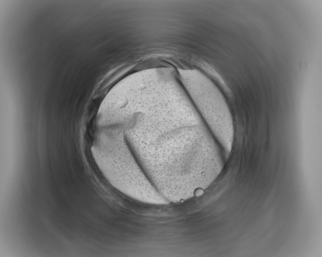 X0000115140386200911241510