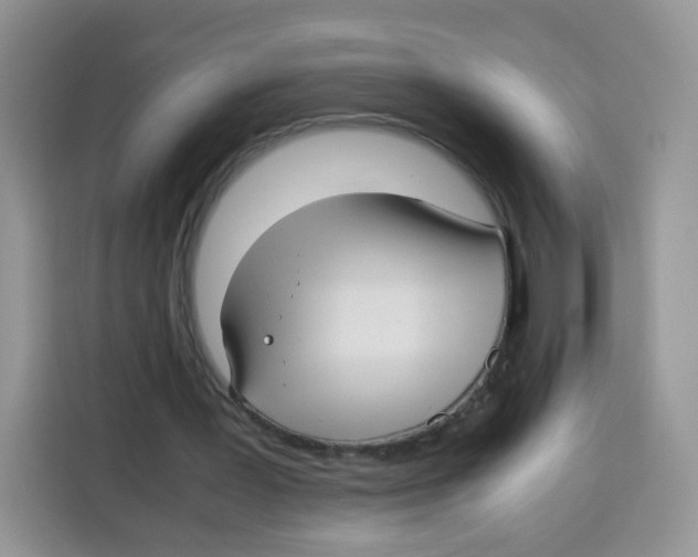 X0000115140387200911241510