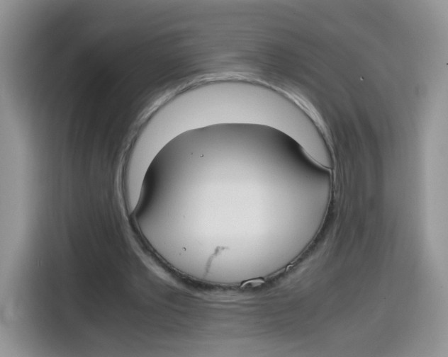X0000115140389200911241510