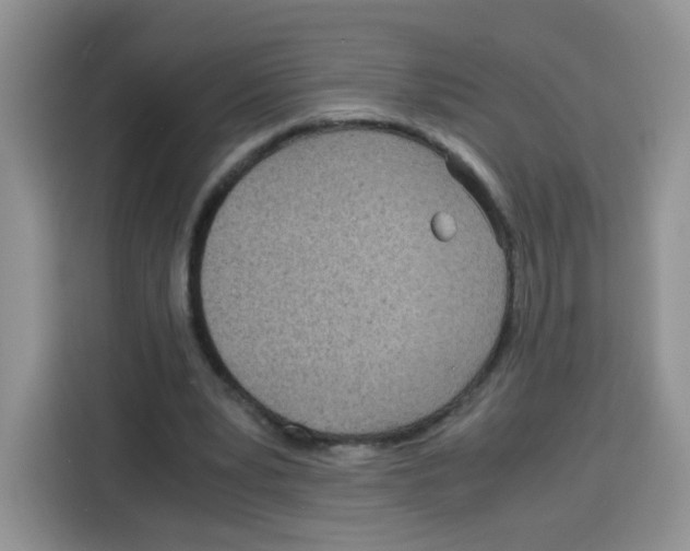 X0000115140391200911241510