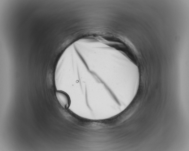 X0000115140393200911241510